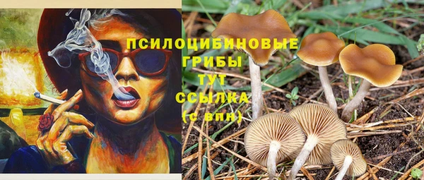 прущая мука Верхний Тагил