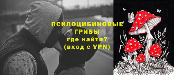 apvp Усмань