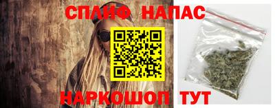 прущие грибы Бузулук