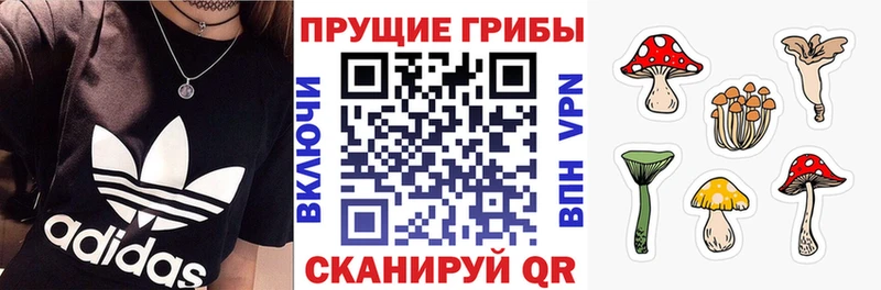 Галлюциногенные грибы MAGIC MUSHROOMS  магазин продажи   Коломна 