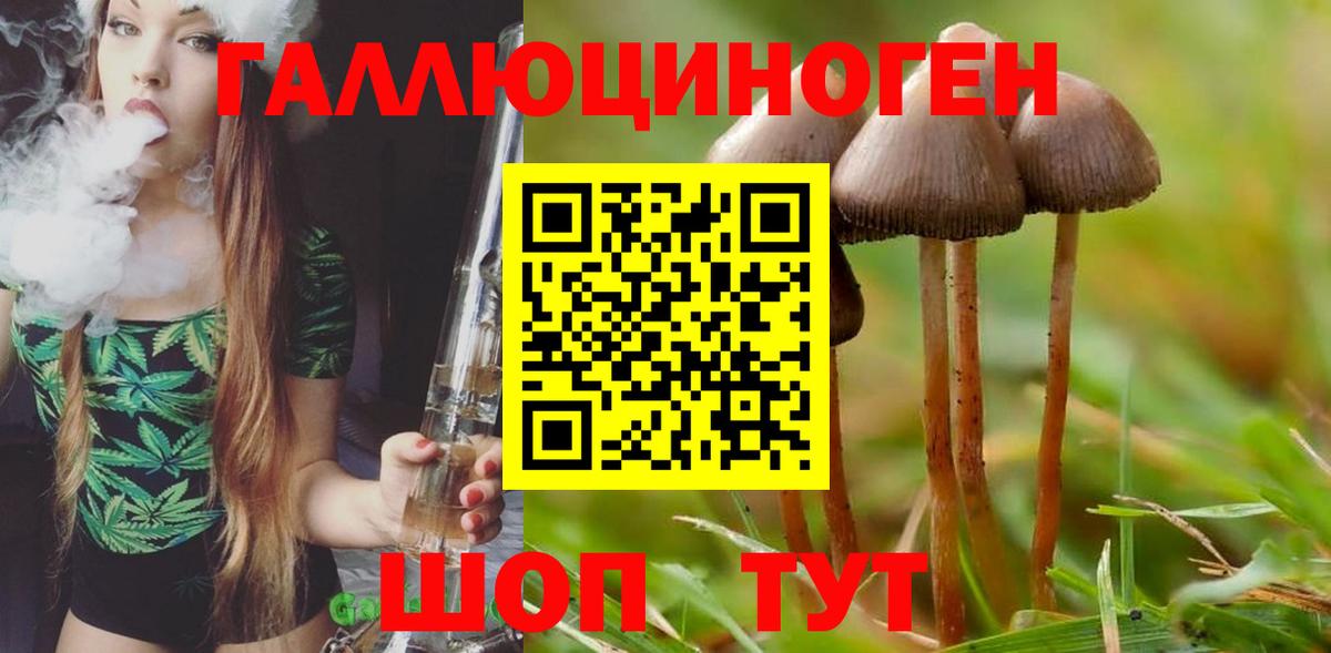 Галлюциногенные грибы мухоморы Коломна