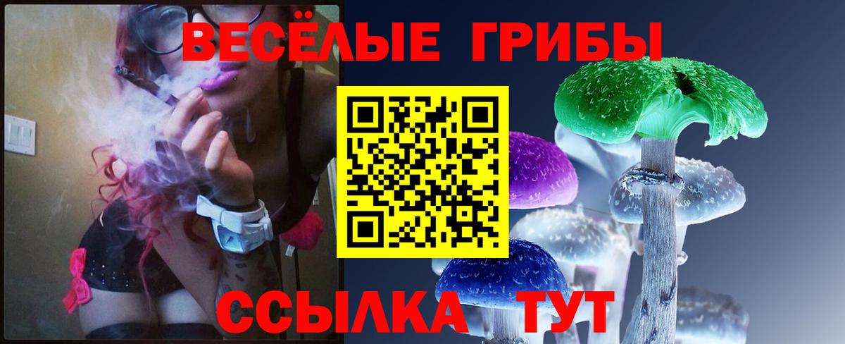 Псилоцибиновые грибы Psilocybine cubensis  Вход с VPN  Коломна  Галлюциногенные грибы прущие грибы 
