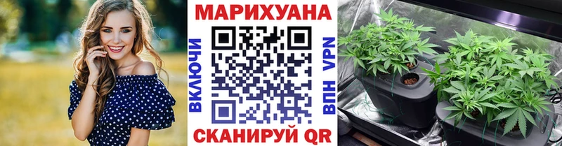 как найти   Коломна  Марихуана THC 21% 